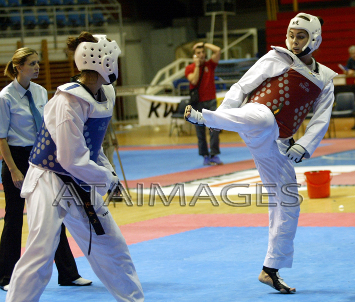 mandic-gajic2