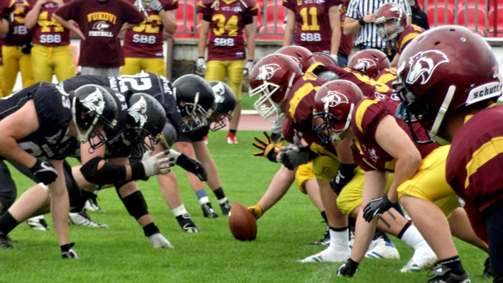 kragujevac wild boars vukovi beograd