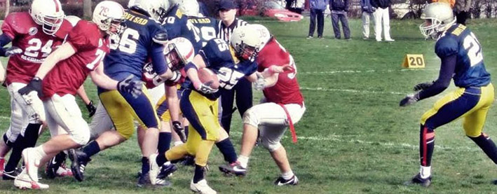 novi-sad-dukes-indjija-indians