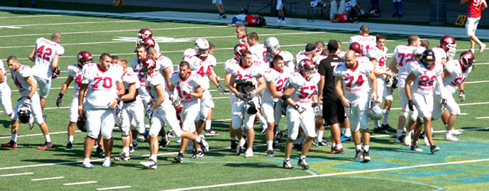 reprezentacija-ceska