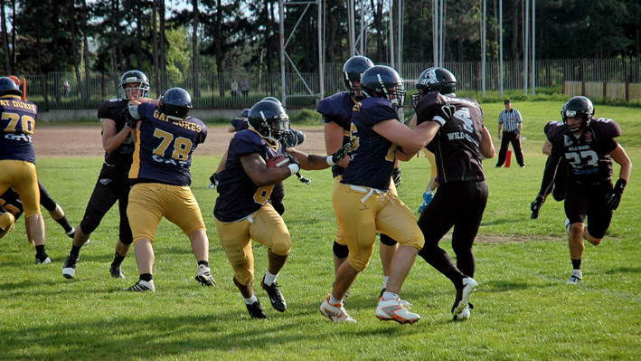 wild boars dukes Demetrijus Samler