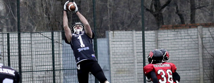 milorad-zivkovic-kragujevac-wild-boars