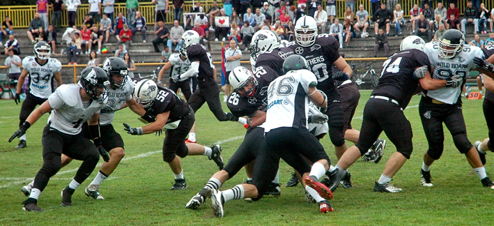 pancevo panthers kragujevac wild boars 2014 2