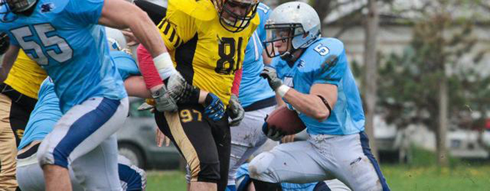 Blue-Dragons-Knights