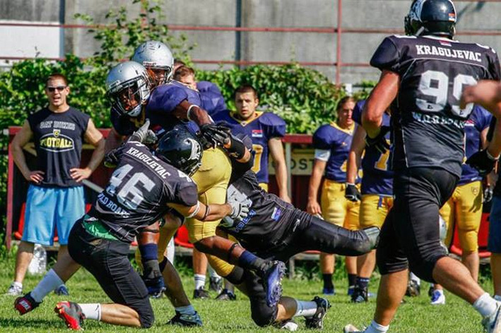 Dukes Wild Boars Foto Jean Francois Nicollet