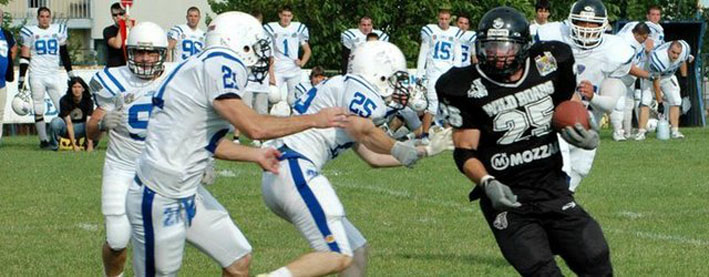 Veprovi-Ratnici-sajt