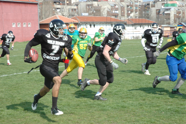 Wild_Boars_Sombor_Dzeremi_Pejton