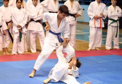 borba_hala_sportova