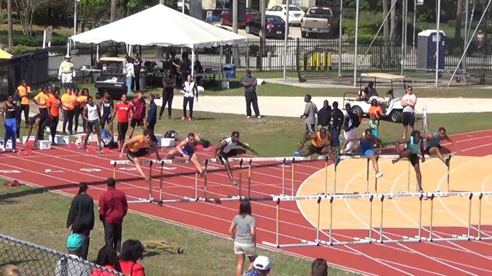 Milan Ristic Amerika