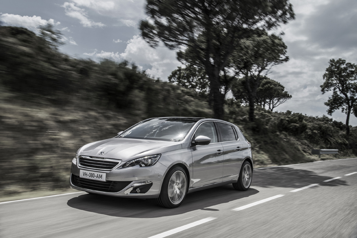 308 sivi