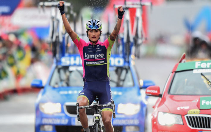 Winner Anacona