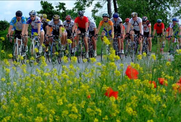 amfora_zlatna_ilustracija