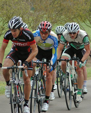 zekavica_na_celu_grupe