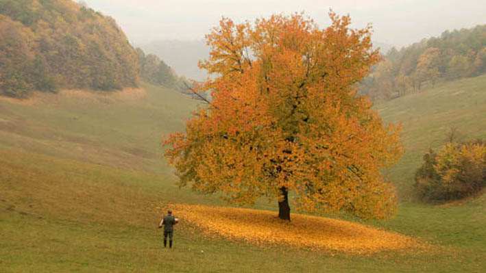 Kako su me ukrali Nemci