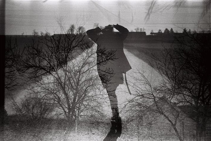 The_Tree_of_Life_-_Terrence_Malick