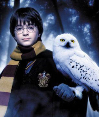 harry-potters-owl