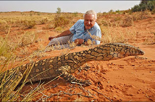 david-attenborough