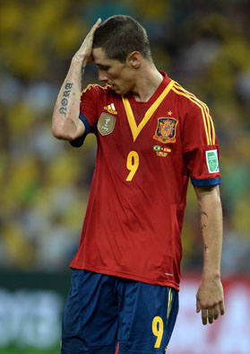 Fernando Torres Brazil Spain Final