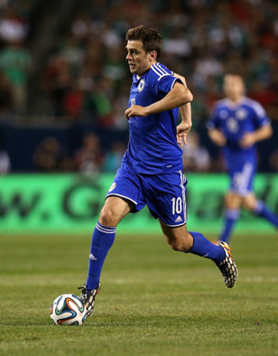 zvjezdan misimovic