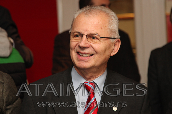 svetozar mijailovic dec 2014 1