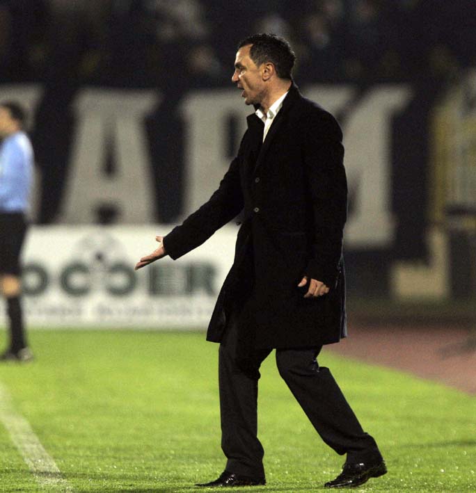 vignjevic vojvodina