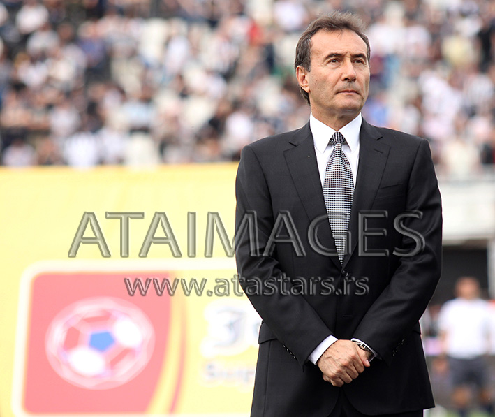zoran scepanovic