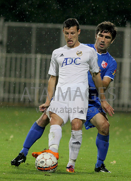 slavoljub srnic cuk rad