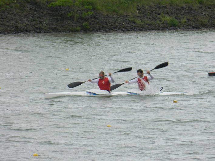 pajic stanojevic 2013