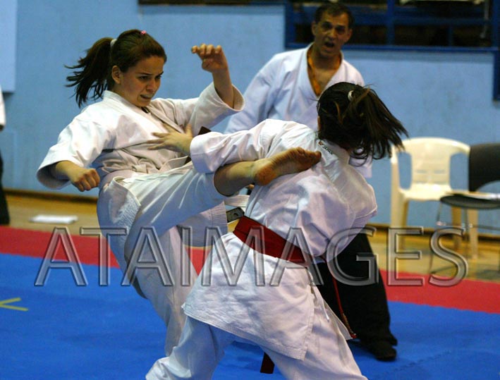 budokan karate 2