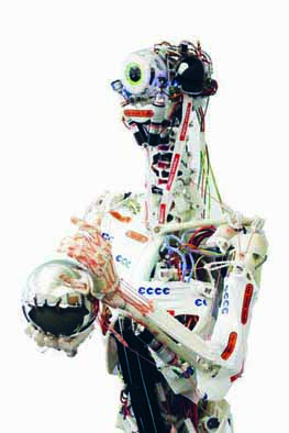 Eccerobot