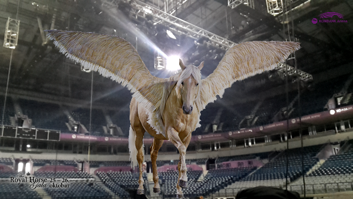 Kombank Arena 16 07-10-14