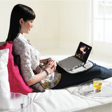 Logitech_Speaker_Lapdesk_N550_photo_1