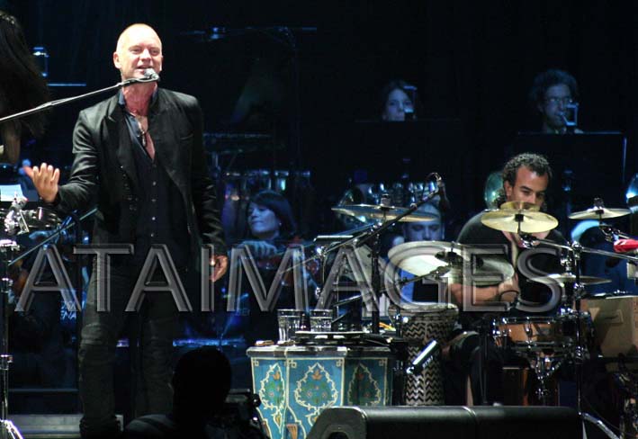 sting_arena_1