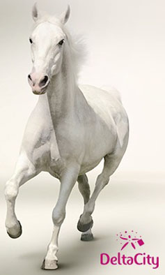 Konjicki vikend - Delta City