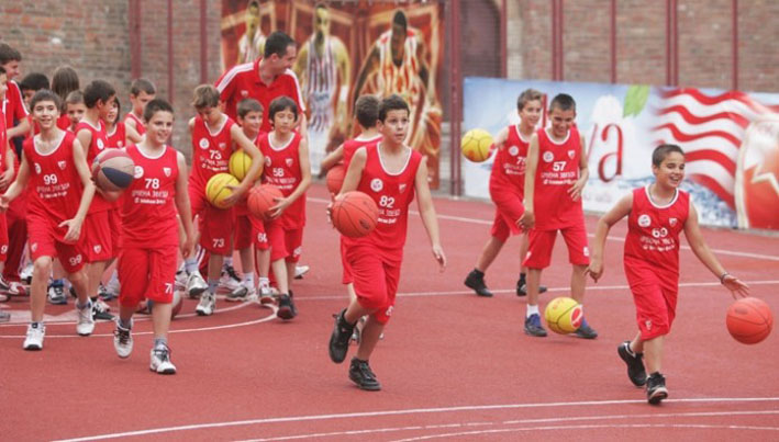 Zvezdina skola kosarke