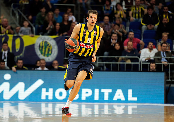 nemanja bjelica 2015
