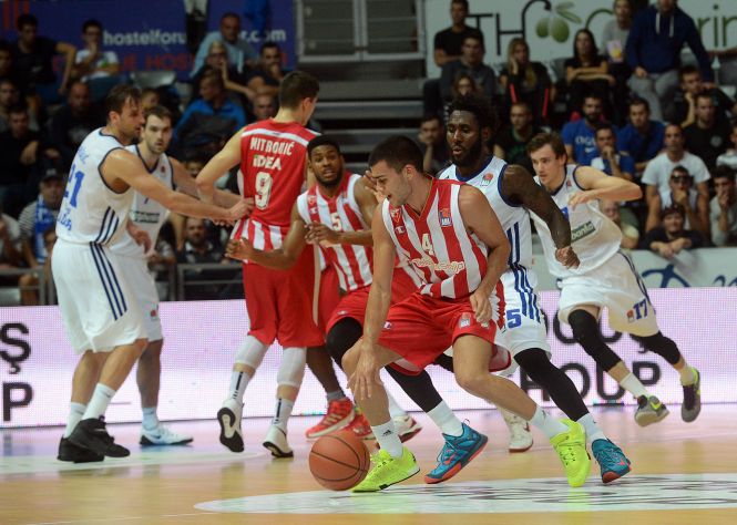 zadar zvezda
