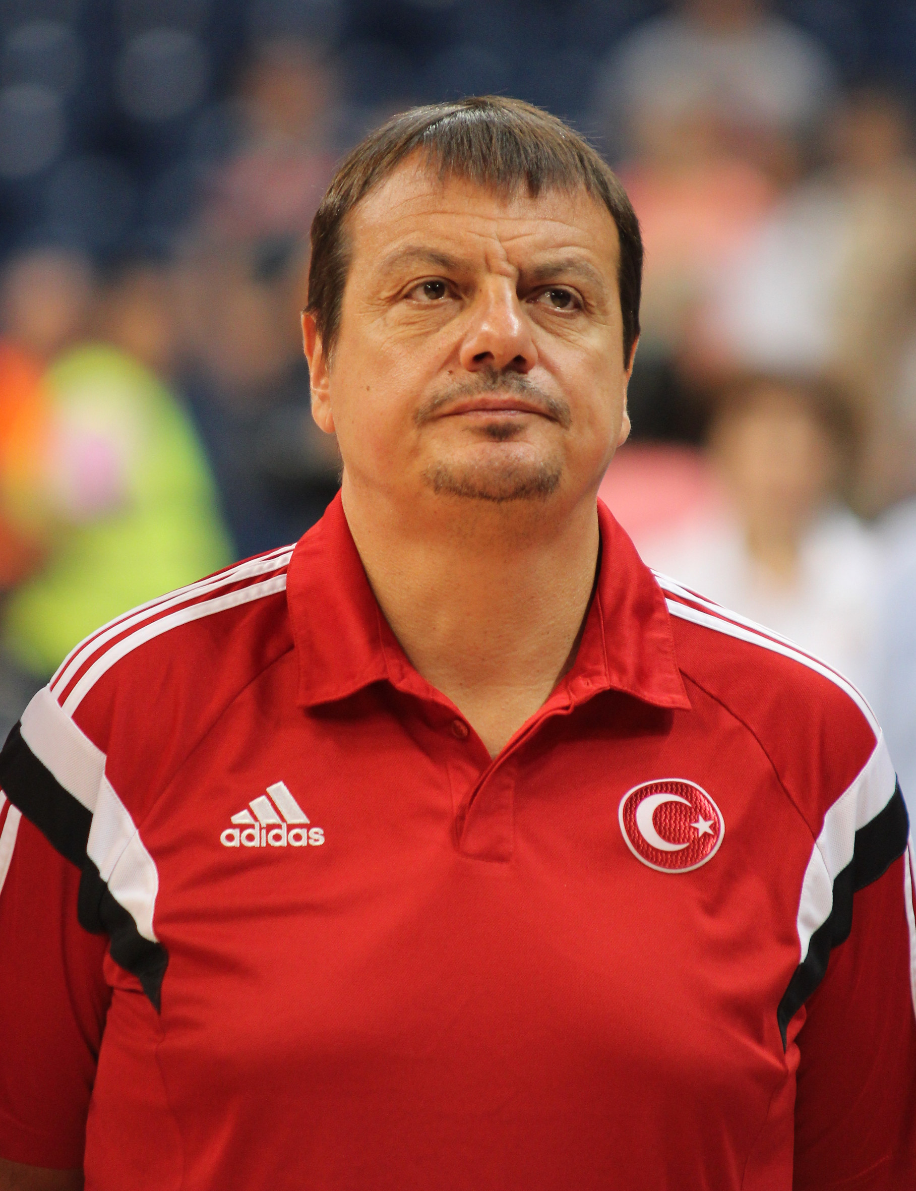 ataman ergin sel turske