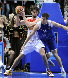 novica velickovic kos