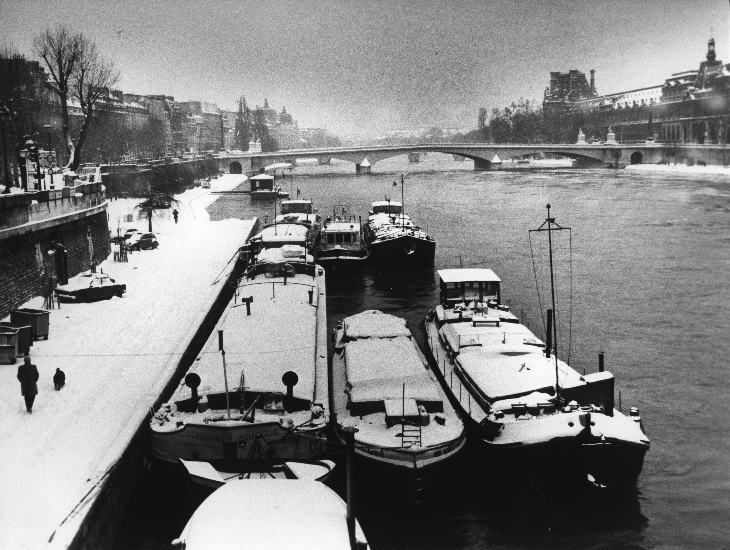 Petar Pierre Grujicic2