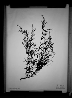 Visionerski-Transport-4