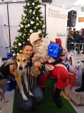 Deda mraz i ljubimci 146