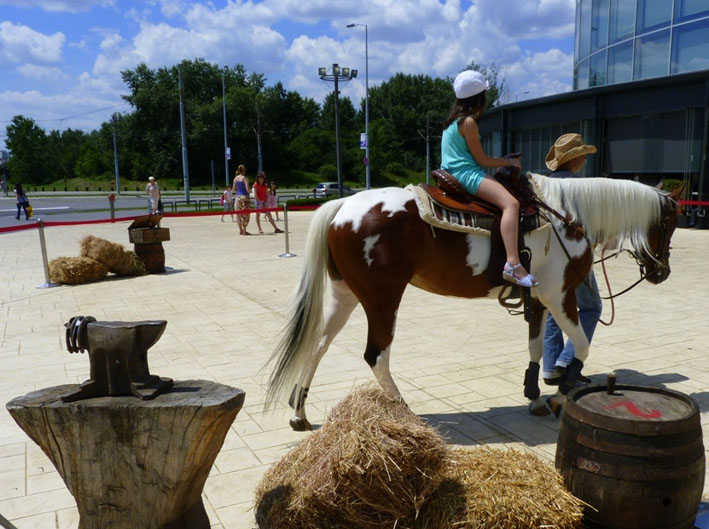 Najava - Konjicki vikend ispred Delta City-ja