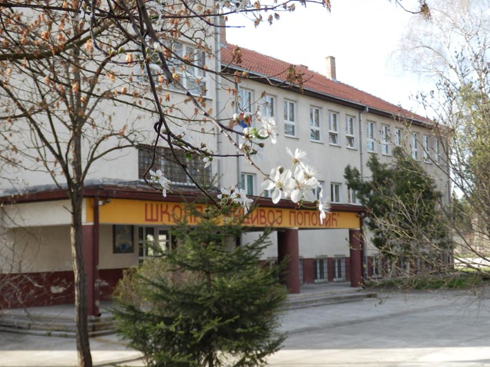 Osnovna skola za decu sa smetnjama u razvoju Radivoj Popovic