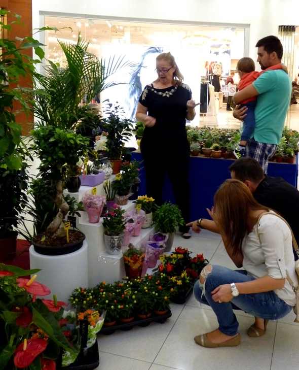 Sajam cveca 023