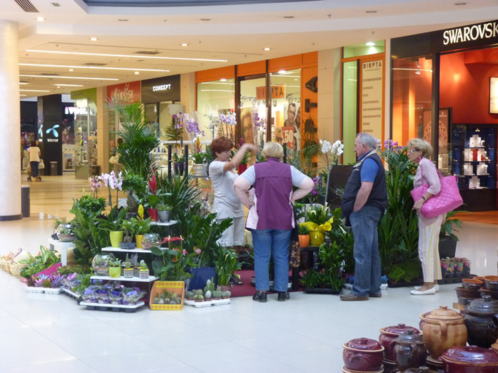 Sajam cveca u Delta City-ju