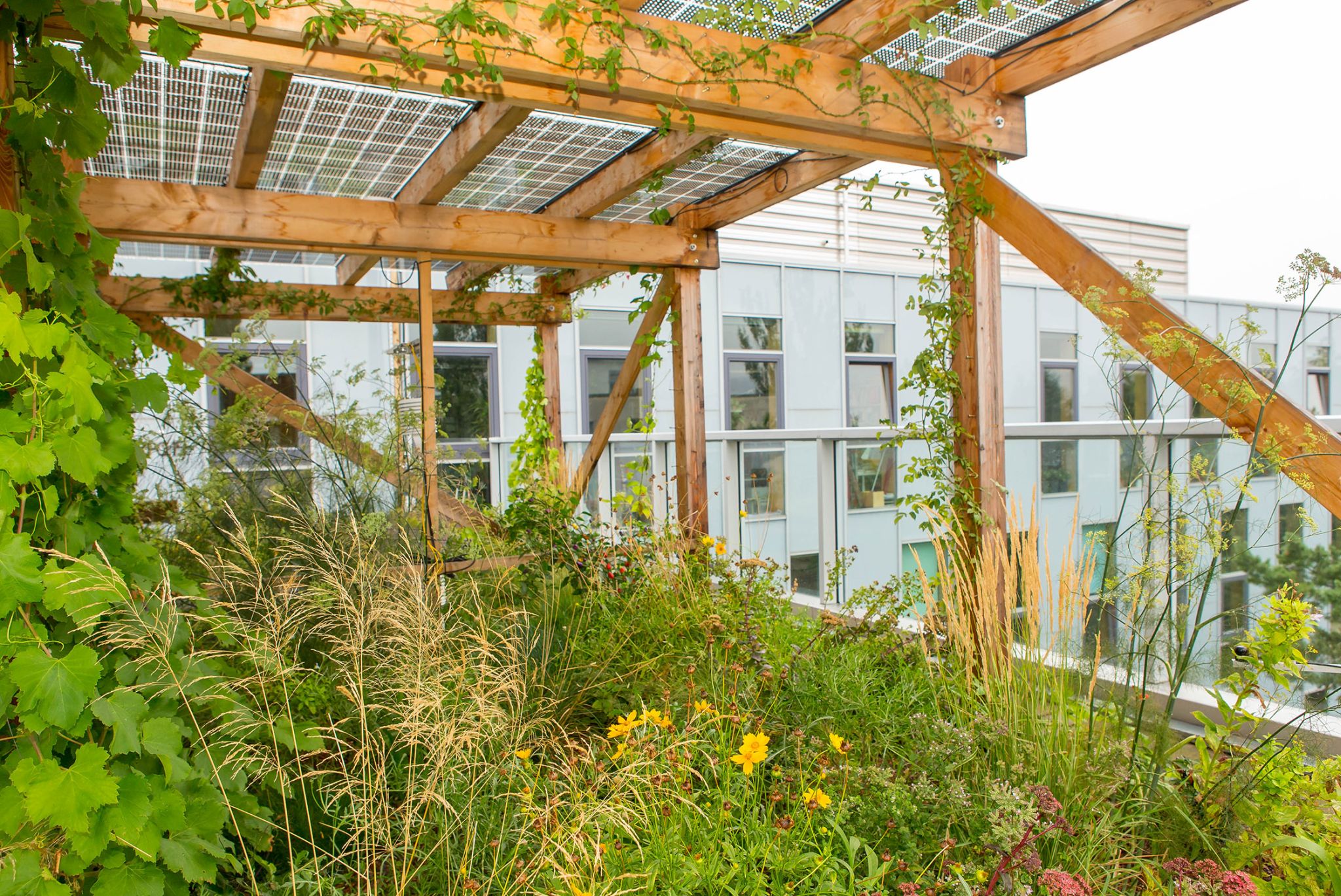 multifunkcionalne krovne baste bec