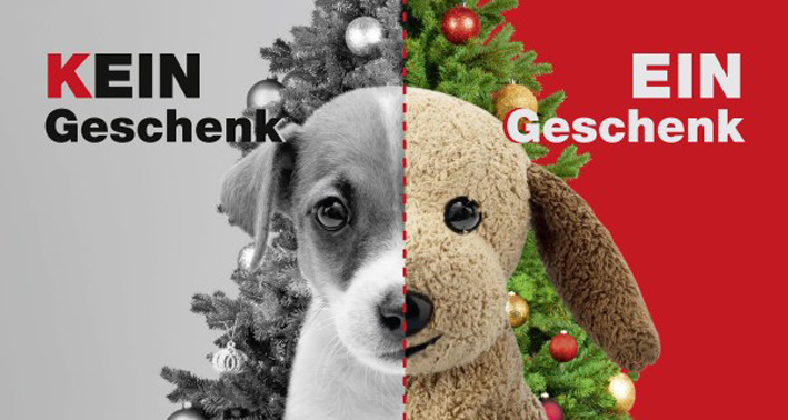 zivotinje nisu novogodisnji poklon