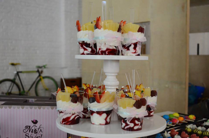 Foto HANA JOVANOVIC JOCIC 1