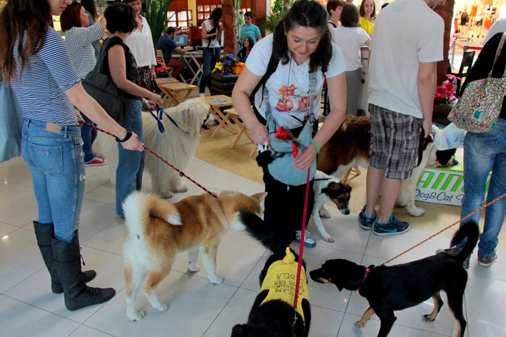 PET party u Delta Cityju